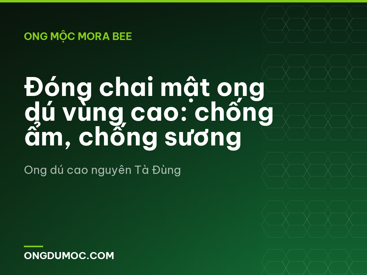 Đóng chai mật ong dú vùng cao: chống ẩm, chống sương