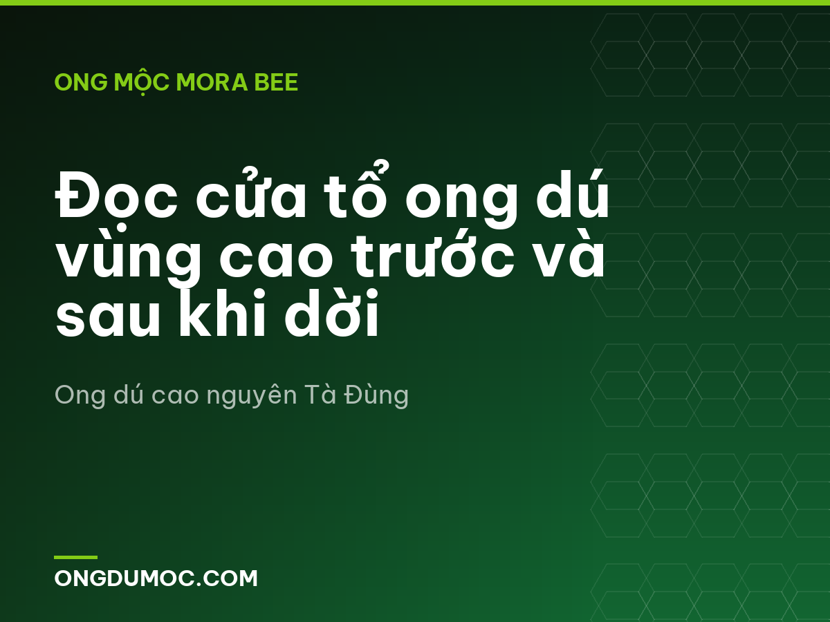 Đọc cửa tổ ong dú vùng cao trước và sau khi dời
