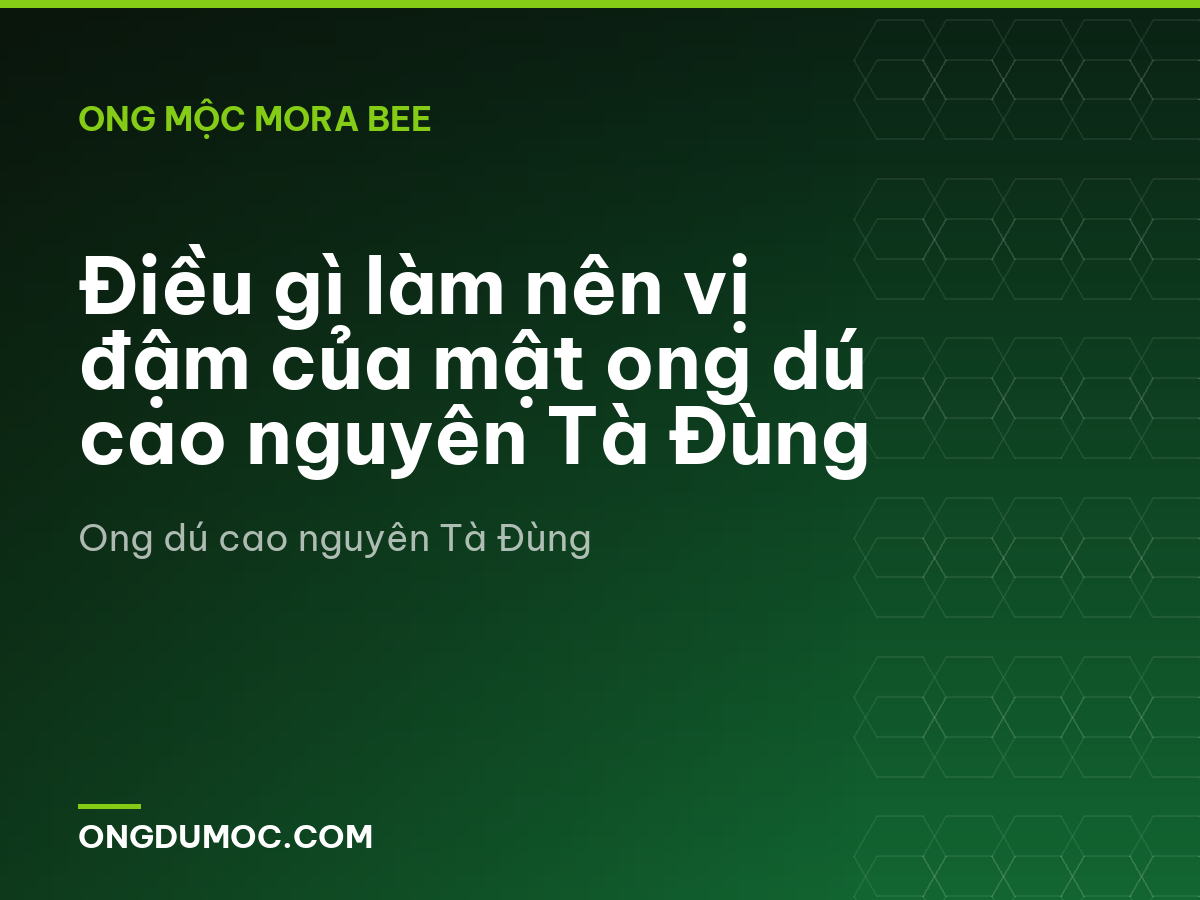 Điều gì làm nên vị đậm của mật ong dú cao nguyên Tà Đùng