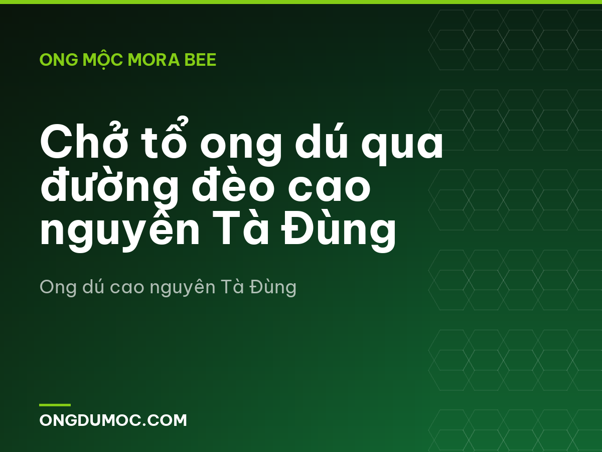 Chở tổ ong dú qua đường đèo cao nguyên Tà Đùng