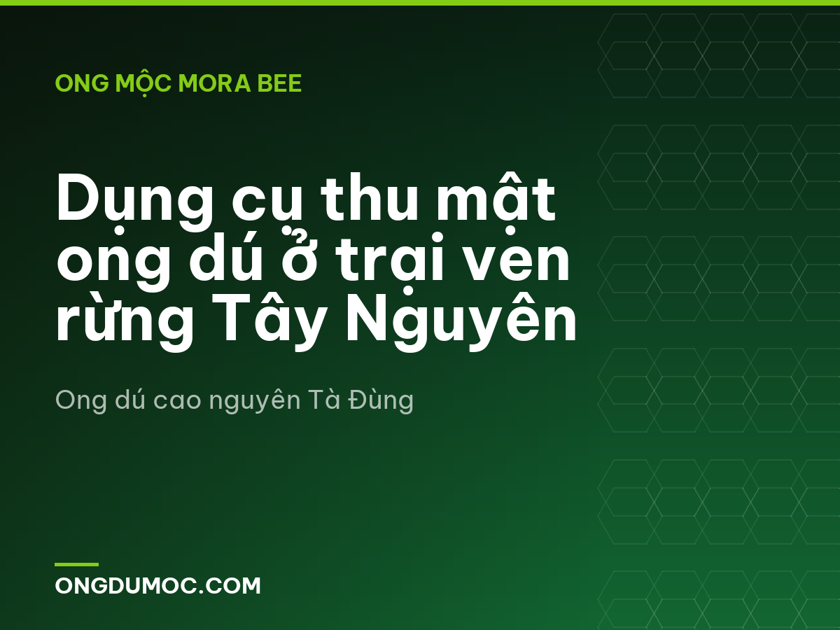 Dụng cụ thu mật ong dú ở trại ven rừng Tây Nguyên