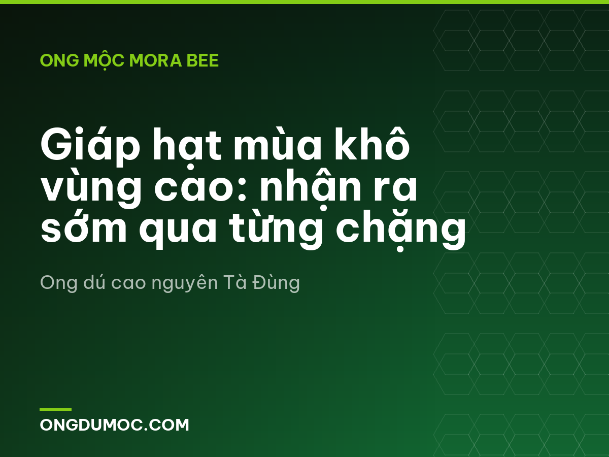 Giáp hạt mùa khô vùng cao: nhận ra sớm qua từng chặng