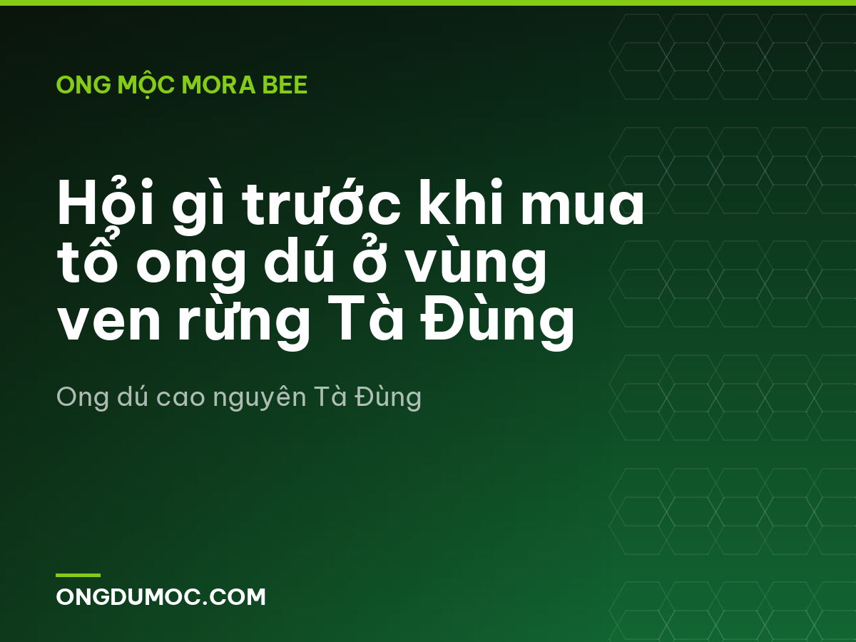 Hỏi gì trước khi mua tổ ong dú ở vùng ven rừng Tà Đùng