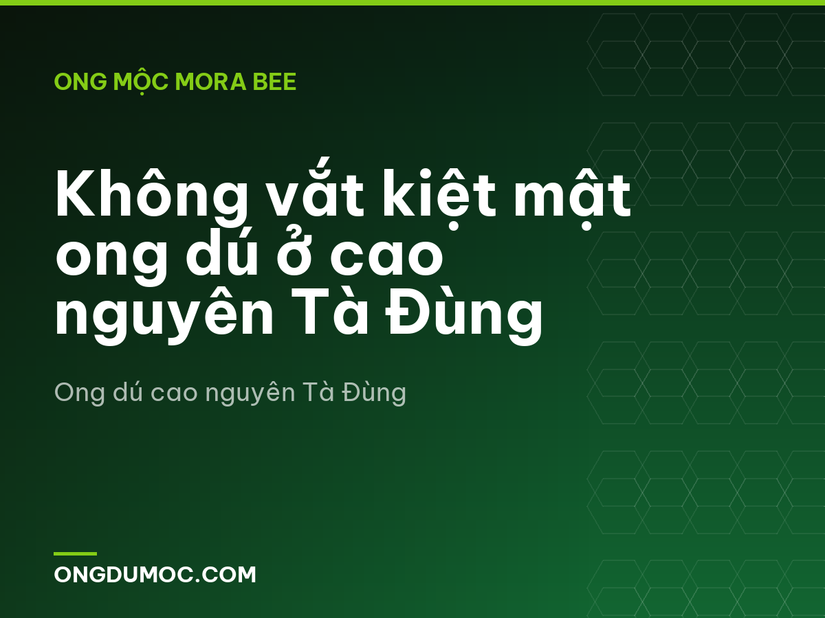Không vắt kiệt mật ong dú ở cao nguyên Tà Đùng