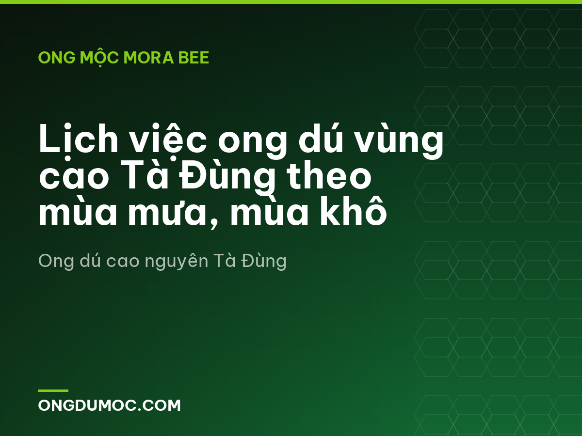 Lịch việc ong dú vùng cao Tà Đùng theo mùa mưa, mùa khô