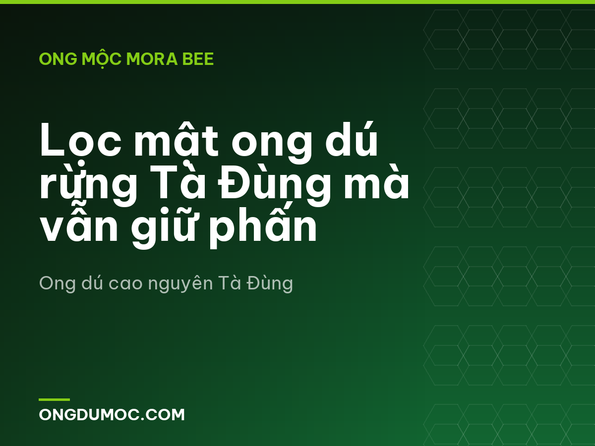 Lọc mật ong dú rừng Tà Đùng mà vẫn giữ phấn