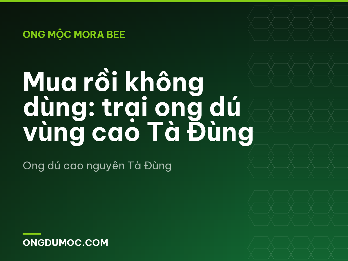 Mua rồi không dùng: trại ong dú vùng cao Tà Đùng