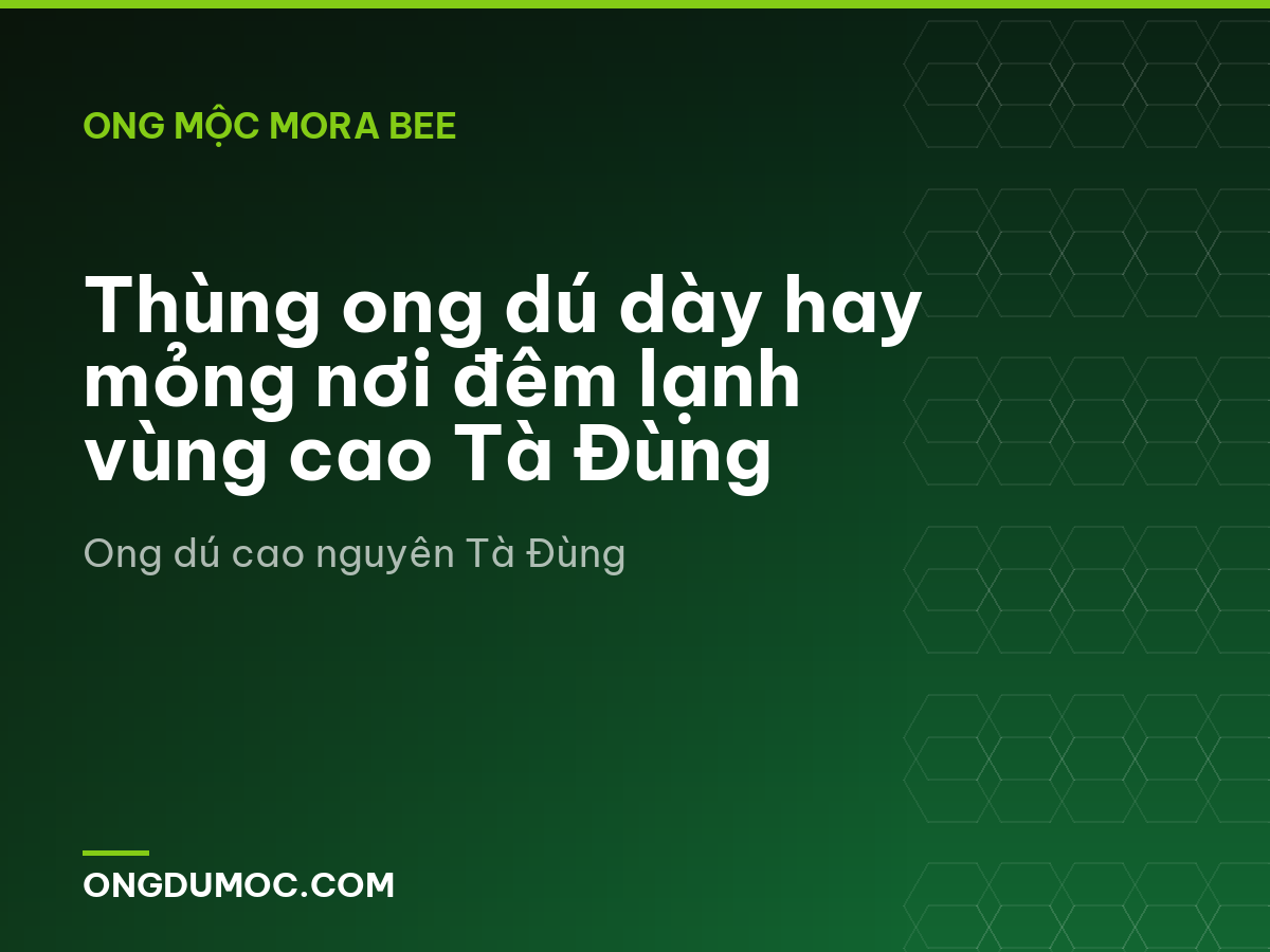 Thùng ong dú dày hay mỏng nơi đêm lạnh vùng cao Tà Đùng