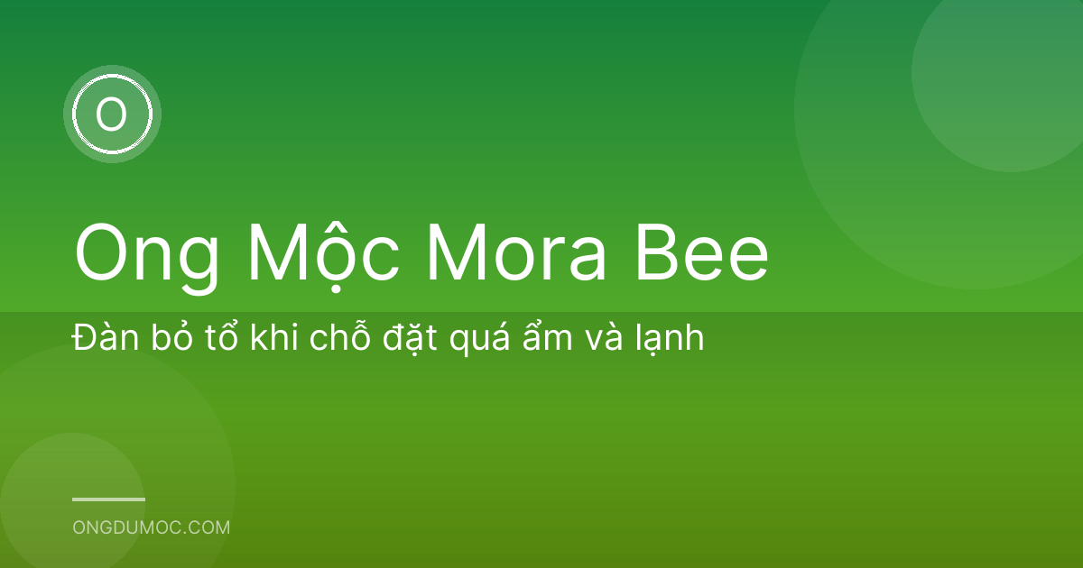 Đàn bỏ tổ khi chỗ đặt quá ẩm và lạnh