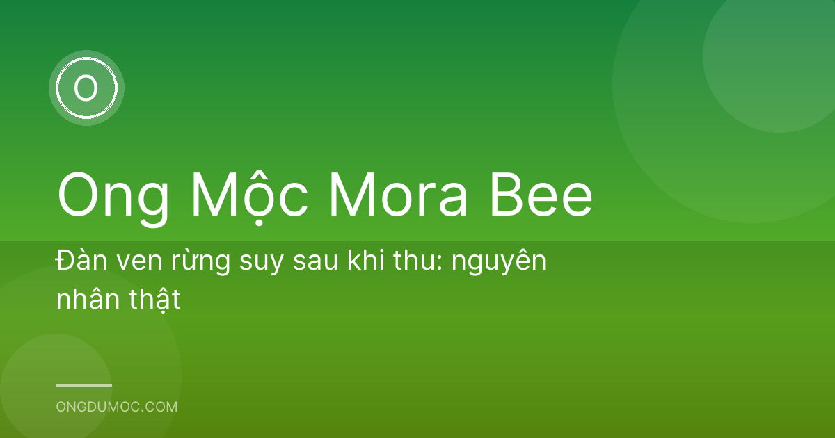 Đàn ven rừng suy sau khi thu: nguyên nhân thật