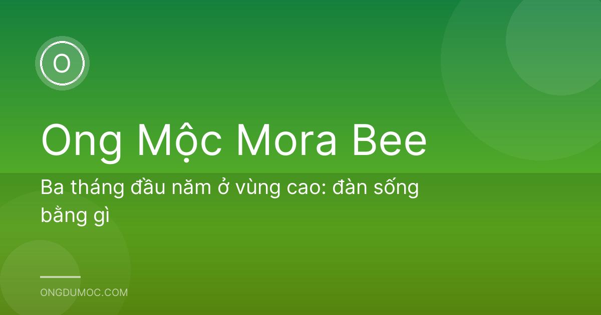 Ba tháng đầu năm ở vùng cao: đàn sống bằng gì