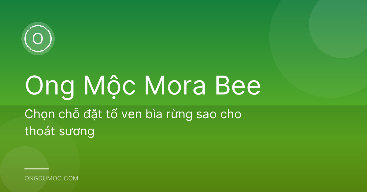 Chọn chỗ đặt tổ ven bìa rừng sao cho thoát sương