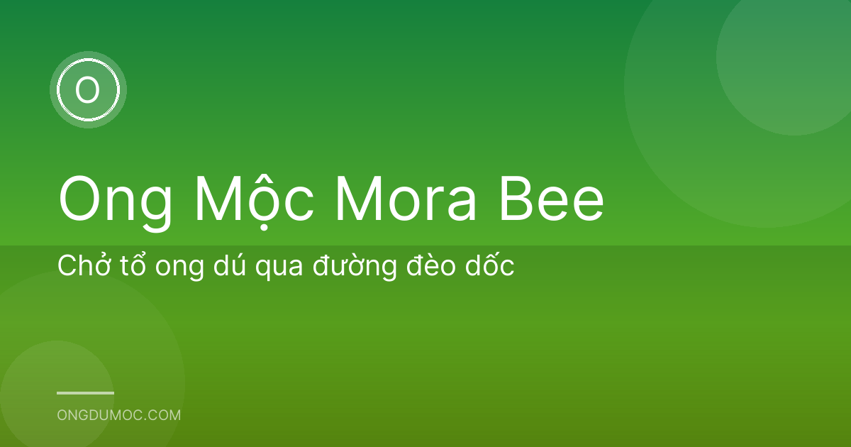 Chở tổ ong dú qua đường đèo dốc