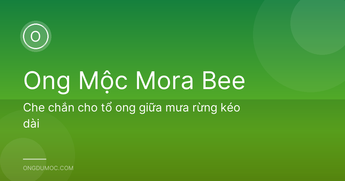 Che chắn cho tổ ong giữa mưa rừng kéo dài