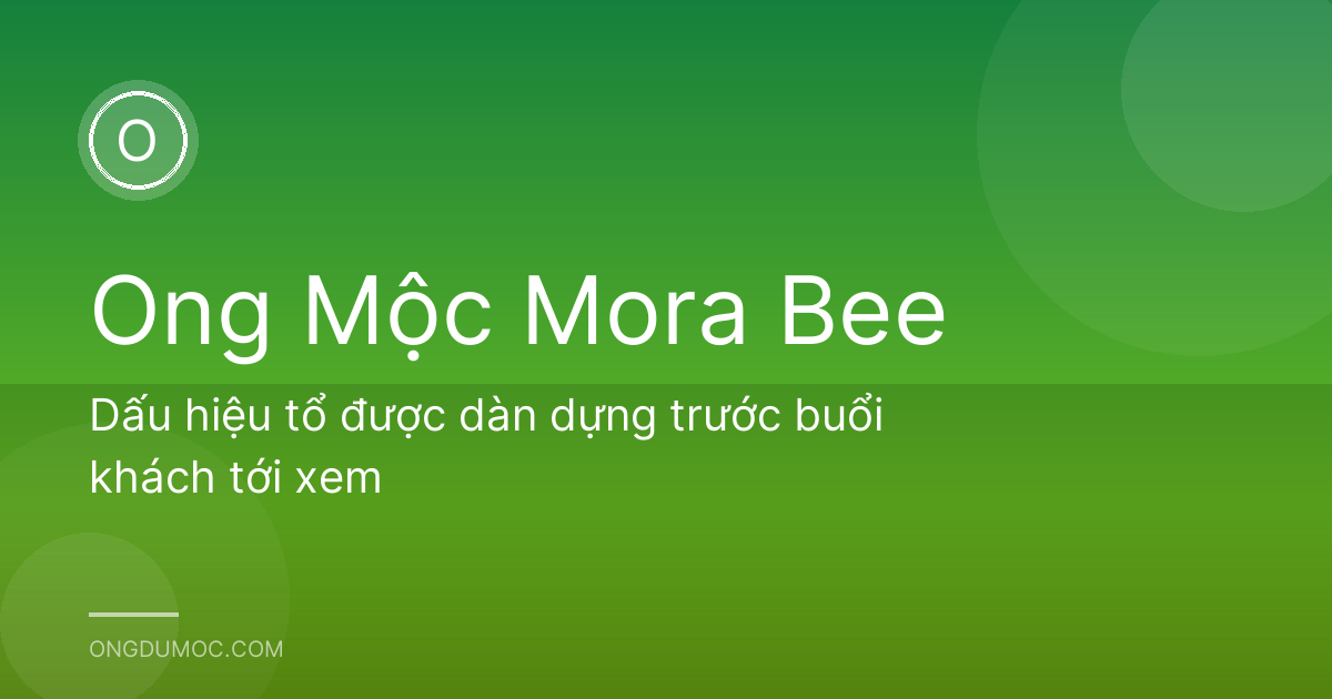 Dấu hiệu tổ được dàn dựng trước buổi khách tới xem