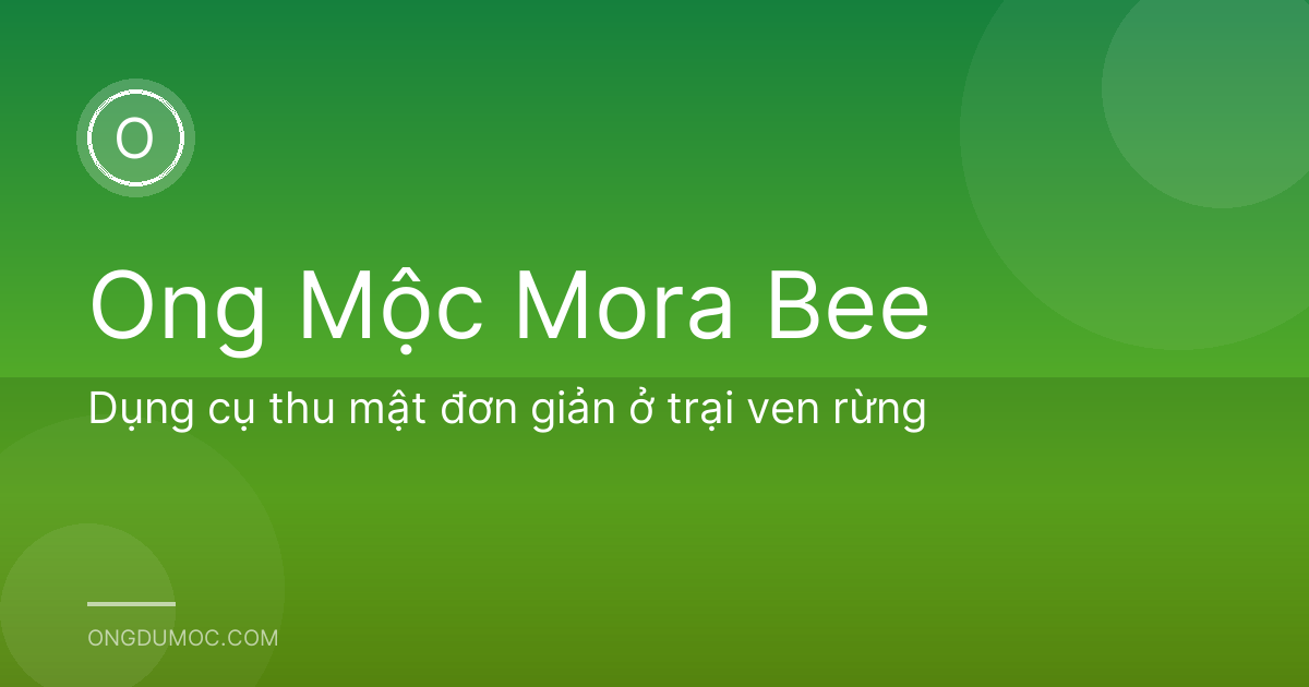 Dụng cụ thu mật đơn giản ở trại ven rừng