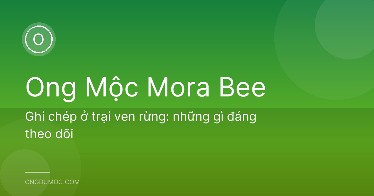 Ghi chép ở trại ven rừng: những gì đáng theo dõi