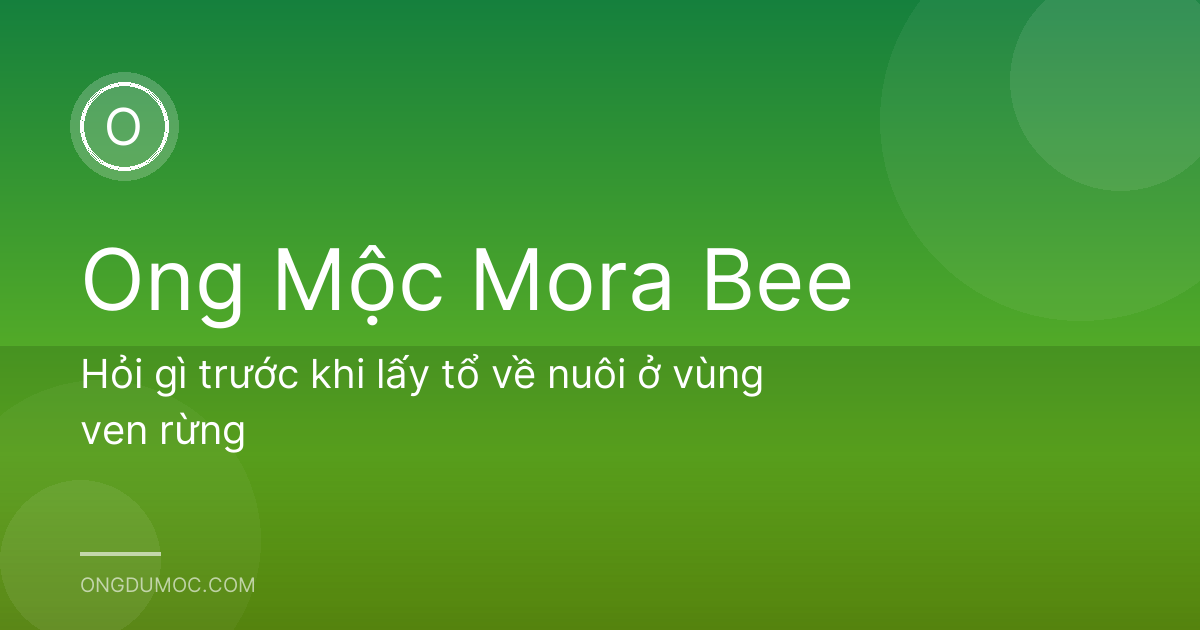 Hỏi gì trước khi lấy tổ về nuôi ở vùng ven rừng