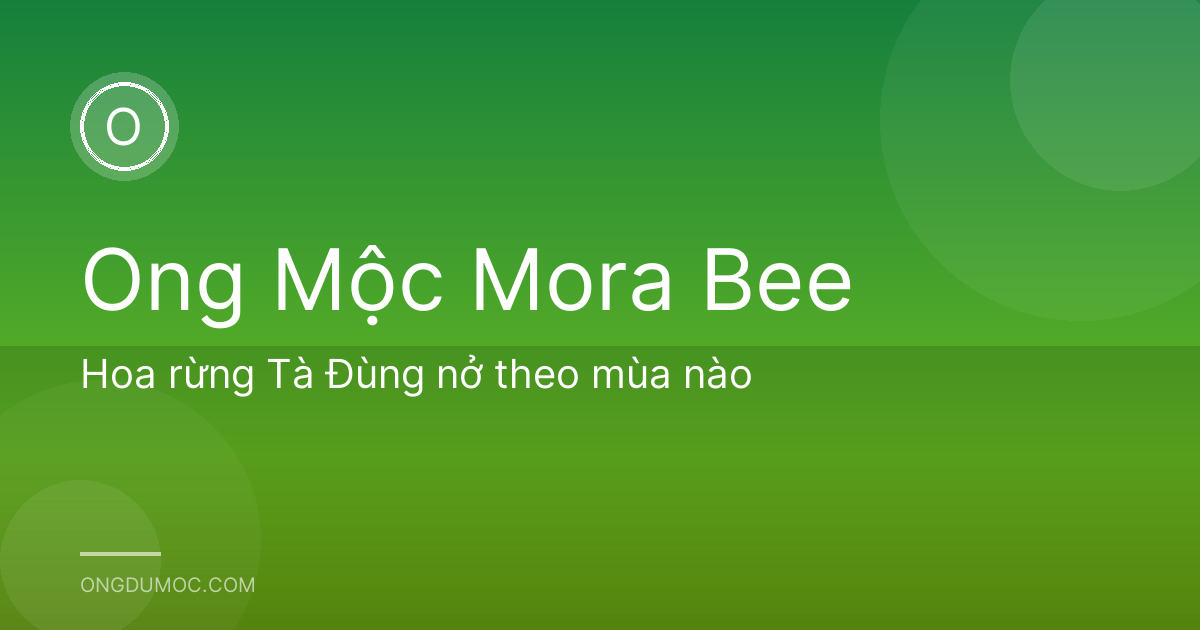 Hoa rừng Tà Đùng nở theo mùa nào