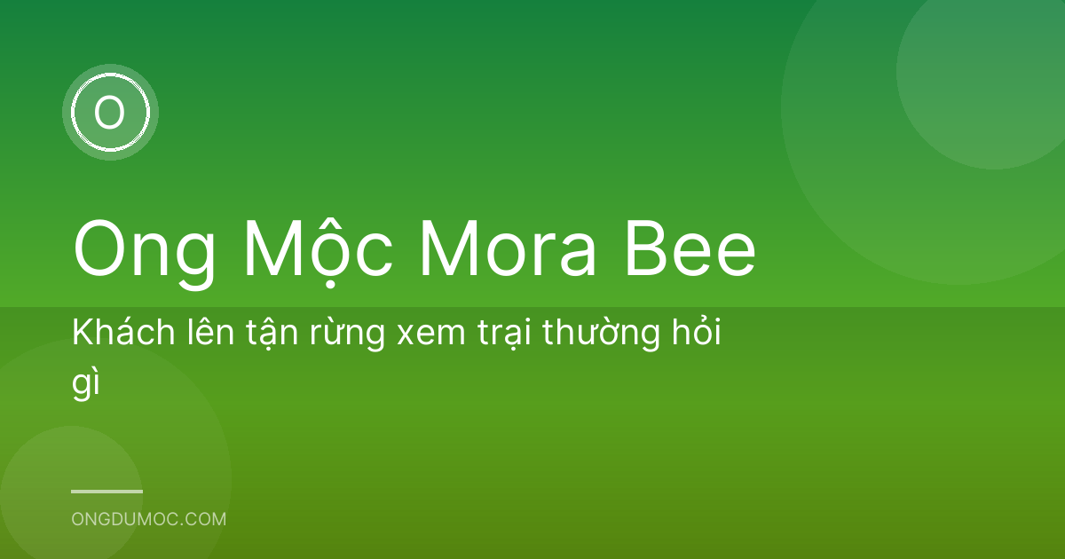 Khách lên tận rừng xem trại thường hỏi gì
