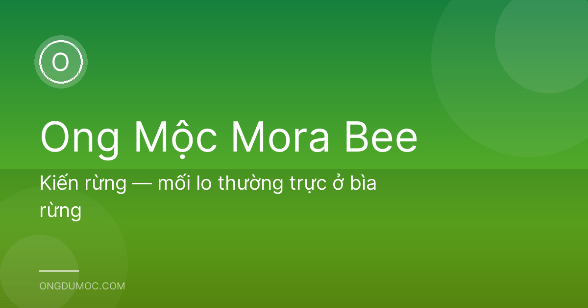 Kiến rừng — mối lo thường trực ở bìa rừng
