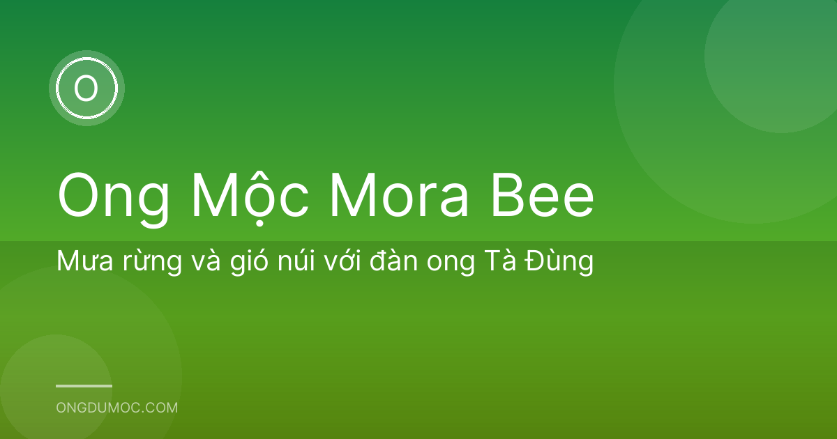 Mưa rừng và gió núi với đàn ong Tà Đùng