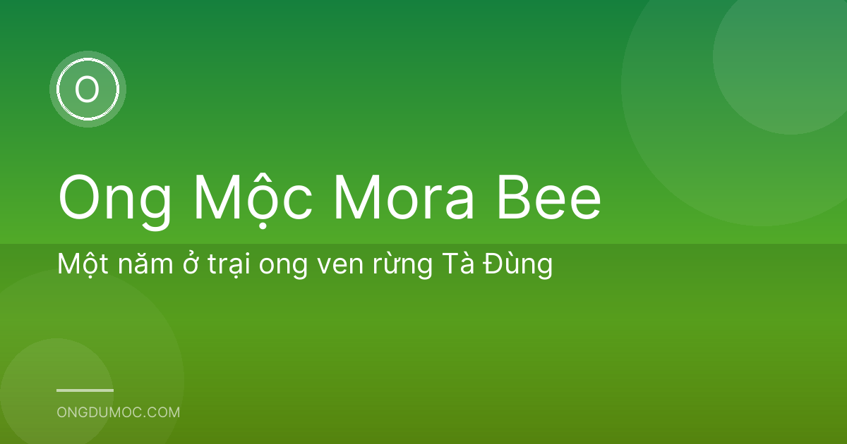 Một năm ở trại ong ven rừng Tà Đùng