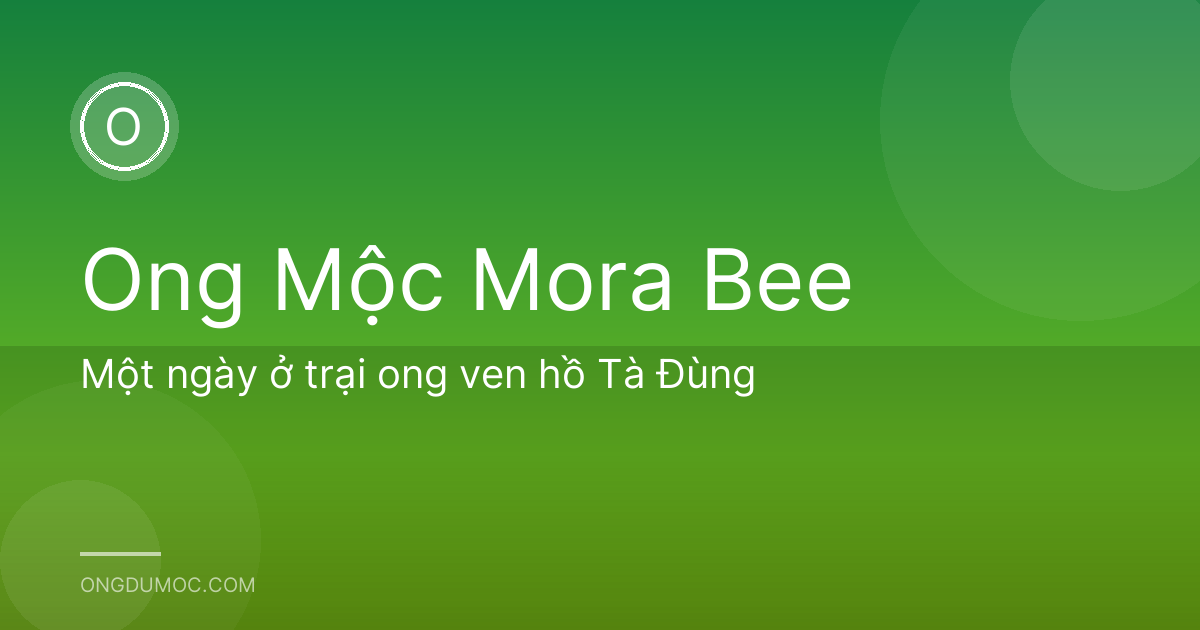Một ngày ở trại ong ven hồ Tà Đùng