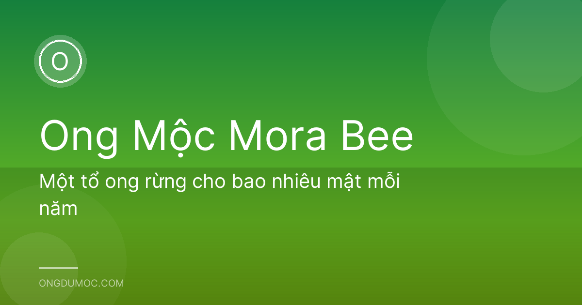 Một tổ ong rừng cho bao nhiêu mật mỗi năm