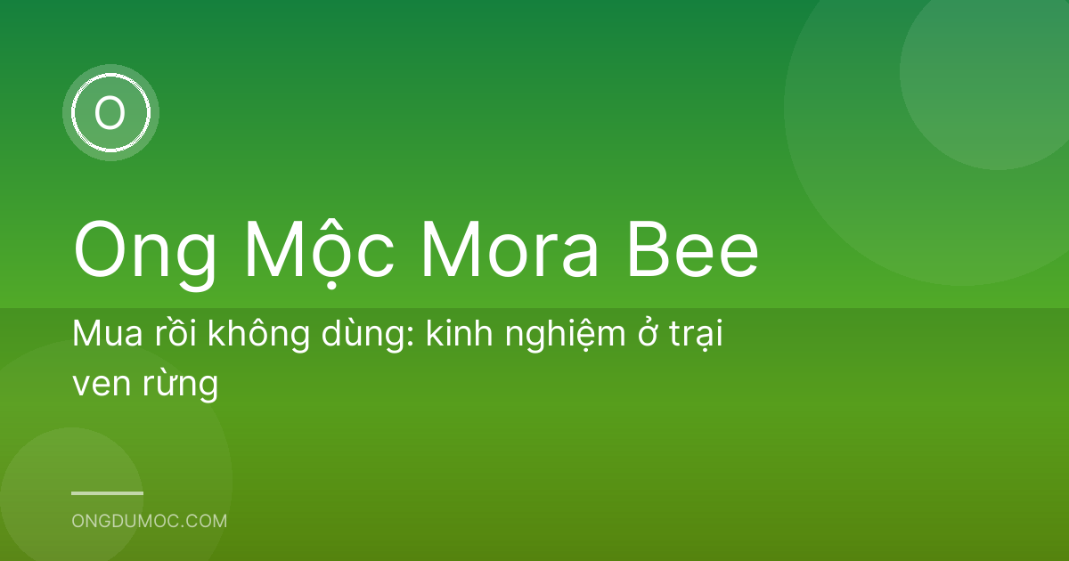 Mua rồi không dùng: kinh nghiệm ở trại ven rừng