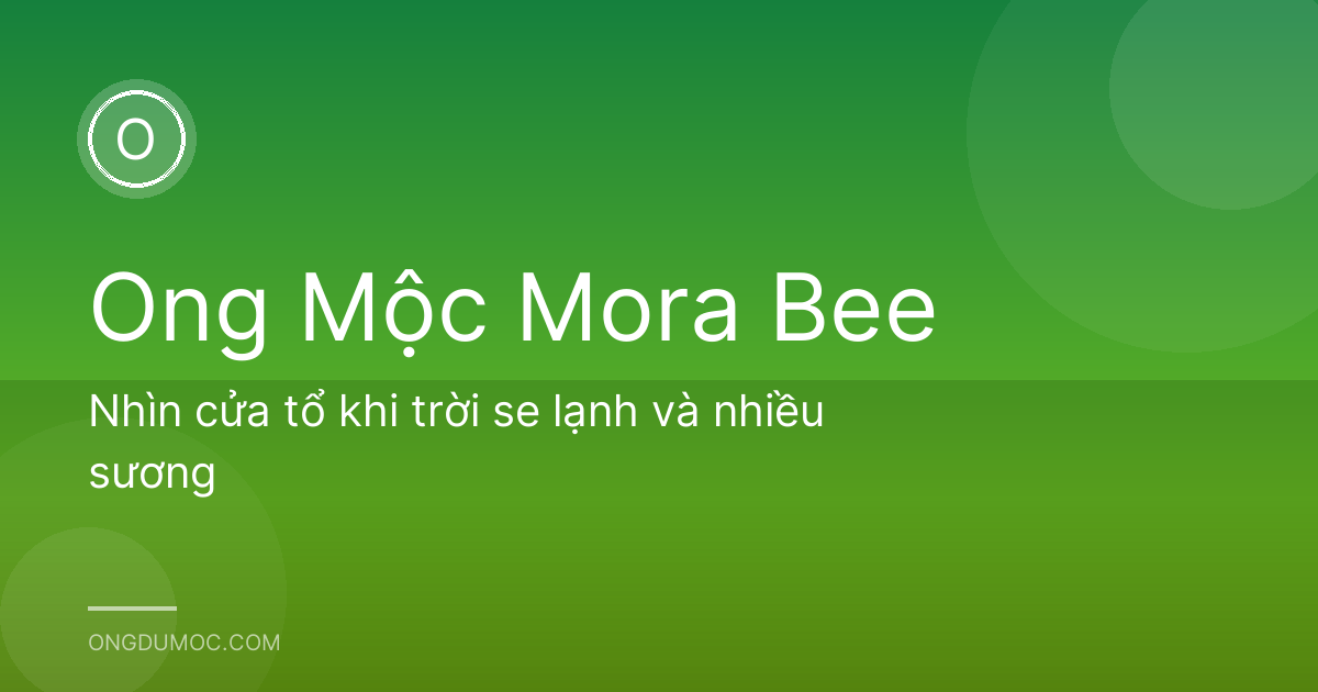 Nhìn cửa tổ khi trời se lạnh và nhiều sương