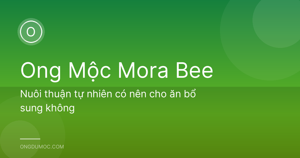 Nuôi thuận tự nhiên có nên cho ăn bổ sung không