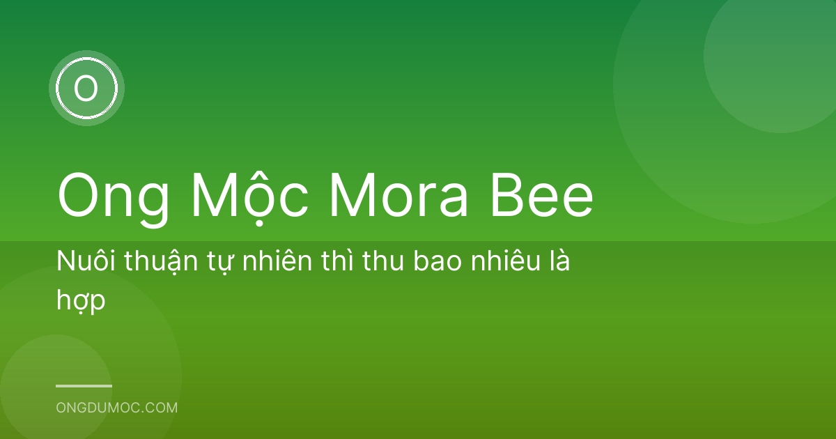 Nuôi thuận tự nhiên thì thu bao nhiêu là hợp