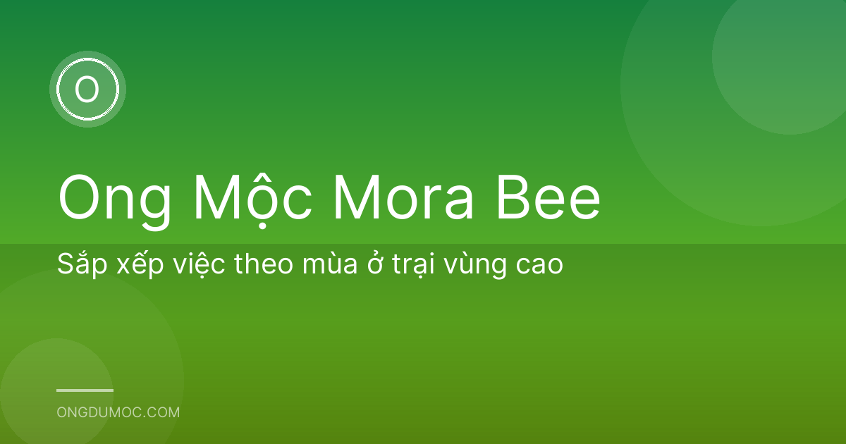Sắp xếp việc theo mùa ở trại vùng cao