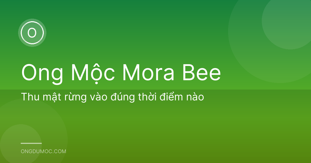 Thu mật rừng vào đúng thời điểm nào