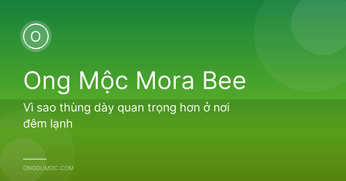 Vì sao thùng dày quan trọng hơn ở nơi đêm lạnh