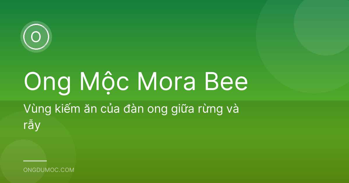 Vùng kiếm ăn của đàn ong giữa rừng và rẫy